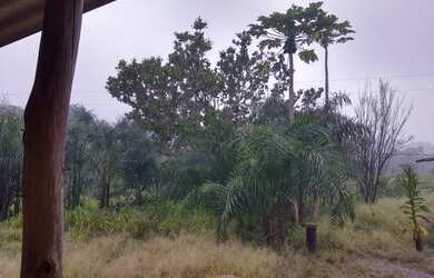 Imagem 14: Sítio 7 Alqueires Cultura em Água Limpa Goiás