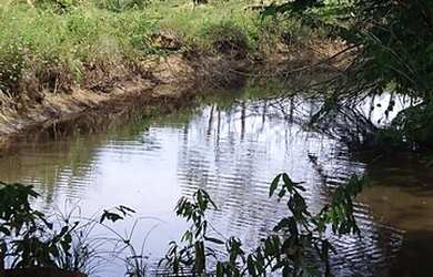 Imagem 3: Vende-se fazenda. 