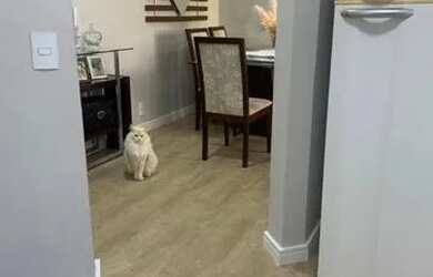 Imagem 12: Apartamento à venda, 3 quartos, 1 vaga, Parque Marajoara - Santo André/SP