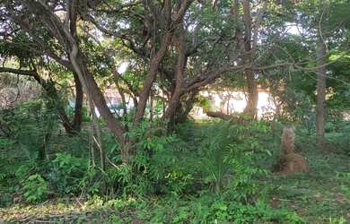 Imagem 3: Vendo terreno em Nazaria PI