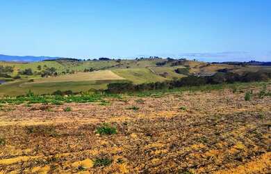 Imagem 15: Lote/Terreno para venda tem 500 metros quadrados em Jardim Tapajós -...