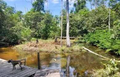 Imagem 15: Sítio no Novo Airão kM 04