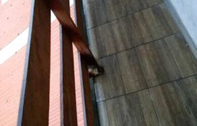 Imagem 3: Kitinete c/wifi cortesia R$350,00, mais informações na descrição