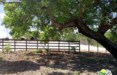 Imagem 13: Fazenda de Coco Verde à Venda na Bahia Fazenda de Aquicultura Maricultura...