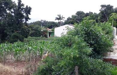 Imagem 2: Lote/Terreno para venda possui 428 metros quadrados em Bonfim - Santa...