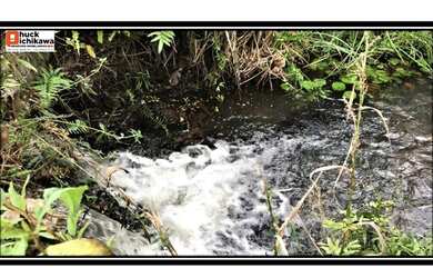 Imagem 1: Fazenda de 720 Tarefas. PiscinaeChurrasqueira