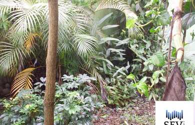 Imagem 13: CASASÃO PAULO. 251m² de Área, 2 Vagas na garageme4 Dormitórios