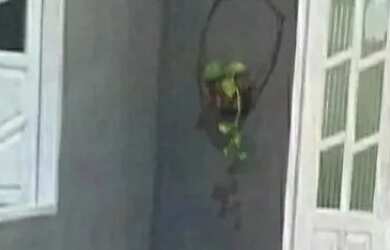 Imagem: A casa possui 3 Dormitórios, 1 Banheiro, 180m² de Área e