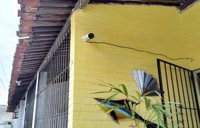 Imagem 10: Vendo outro. 1 Vaga na garageme1 Dormitório