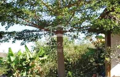 Imagem 5: Maravilhoso sítio na estrada da produção a 12 km de Moc todo formado