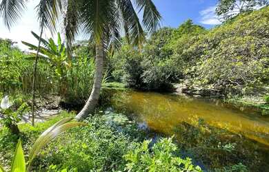 Imagem 2: Sítio estrada de GENIPABU VENDA OU TROCA