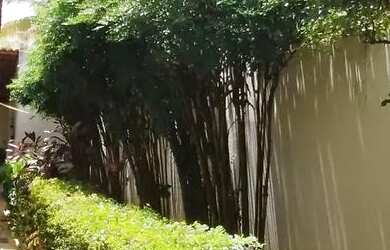 Imagem 9: Casa Térrea sozinha no lote 4 quartos com suite quintal Casa de Rua com...