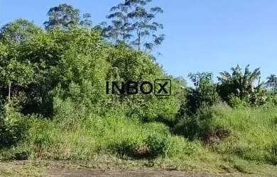 Imagem 6: INBOX CIA IMOBILIÁRIA VENDE, TERRENO EM MONTE BELO DO SUL, FRENTE NORTE