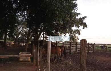 Imagem 14: Terreno à venda, 121240 m² por R$ 12.124.000,00 - João Aranha - Paulínia/SP