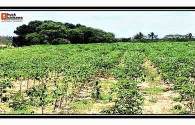 Imagem 9: Fazenda de 720 Tarefas. PiscinaeChurrasqueira