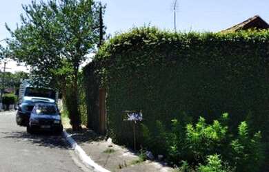 Imagem 9: Casa com 3 dormitórios - venda por R$ 800.000 ou aluguel por R$ 3./mês...