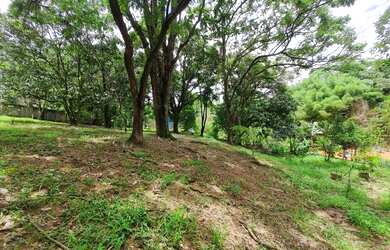 Imagem 6: Lindo Sítio a venda Juatuba