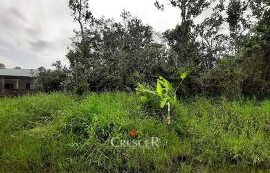 Imagem 4: Terreno para venda no Balneário Saint Etienne em Matinhos