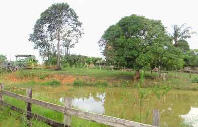 Imagem: A fazenda está localizado em Área Rural de Porto Velho, Porto