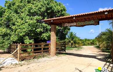 Imagem: A fazenda possui 28m² de Área e está localizado em Conde