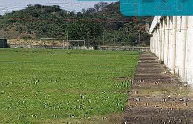 Imagem 8: GALPAO INDUSTRIAL em DUQUE DE CAXIAS - RJ, MANTIQUIRA