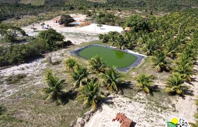 Imagem 14: Fazenda de Coco Verde à Venda na Bahia Fazenda de Aquicultura Maricultura...