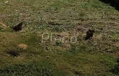 Imagem: O terreno possui 319m² de Área e está localizado em Vila