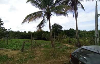 Imagem: A chácara possui 1.000m² de Área e está localizado em Xuri