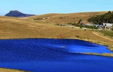 Imagem 8: Sítio em São José dos Ausentes