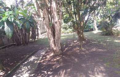 Imagem 4: Terreno 643 m2 - Bacacheri