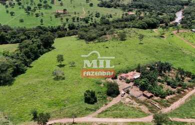 Imagem 4: Beira Rio - Chácara 1.36 alqueires 66.000 metros Santa Cruz de Goiás