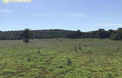 Imagem: A fazenda possui 32.000.000m² de Área e está localizado