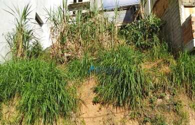 Imagem 11: Terreno à venda, 230 m² por R$ 180.000,00 - Nossa Senhora de Fátima...