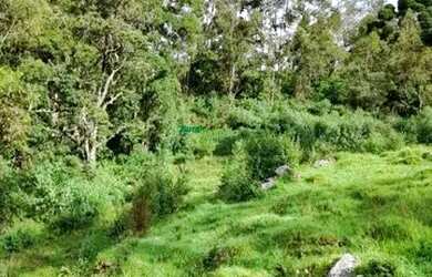 Imagem: A fazenda possui 10896m² de Área e está localizado em Centro