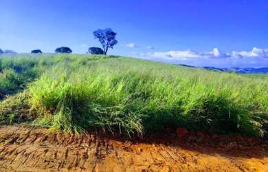 Imagem 8: 03a-1MC6DU0 Terreno / lote com venda por R$60.000