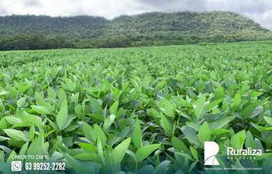 Imagem 9: Fazenda à venda, 822,00 ha por R$ 17.000.000,00