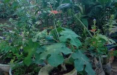 Imagem: A casa possui 2 Dormitórios, 2 Banheiros, 1 Vaga na garagem