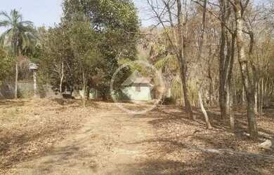 Imagem: A fazenda possui 3m² de Área e está localizado em Piracanjuba