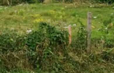 Imagem: O terreno possui 1.300m² de Área e está localizado em Três