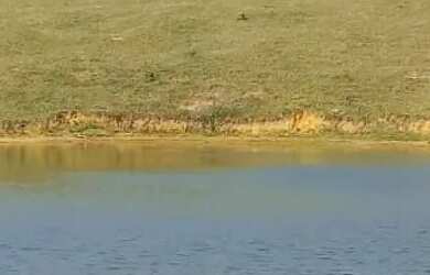 Imagem 8: Casarão Guarapari-baías pra cavalos-pets-entrada privada-cercada troco-leia-parcelo