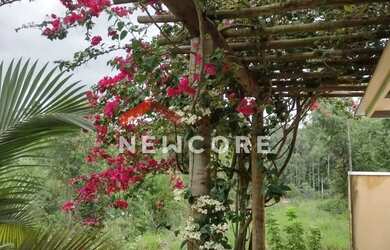 Imagem: A fazenda possui 100m² de Área e está localizado em Mairinque