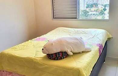 Imagem: A casa possui 1 Dormitório, 1 Banheiro, 1 Vaga na garagem