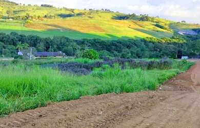 Imagem 7: 03a-1MC6DU0 Terreno / lote com venda por R$60.000