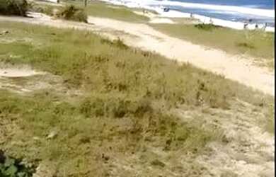 Imagem: O terreno possui 1.400m² de Área e está localizado em Balneário