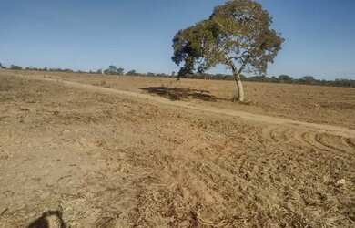 Imagem 1: Vendo fazenda. 