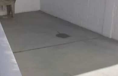 Imagem 4: Aluguel de galpao. 170m² de Área