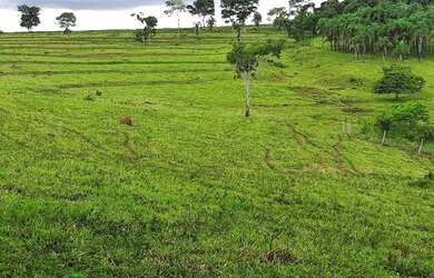 Imagem: A fazenda possui 60.000m² de Área, Varanda e está localizado
