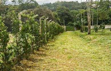 Imagem 1: Terreno à venda, 4200 m² por R$ 380.000 - Taiacupeba - Mogi das Cruzes/SP