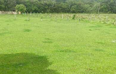 Imagem: O terreno possui 600m² de Área e está localizado em Centro