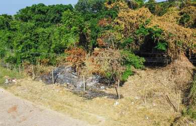 Imagem: O terreno possui 433m² de Área, Imóvel novo e está localizado